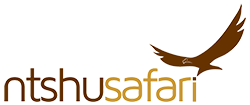 Ntsu Safaris | Best Safari in Botswana | Best Tour Oparator in Botswana